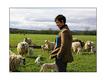 Rory's constituency is a very rural area and home to many farms and livestock. Photo: Margaret Langdon Hamilton