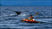 The Whale Man, Duncan Murrell