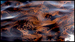 Weathered oil on the surface of the Gulf of Mexico near the coast of Louisiana, 27 April 2010