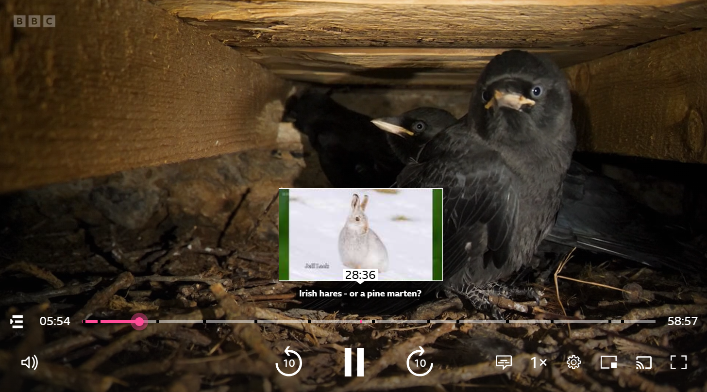 Image of the playback screen on the iPlayer website showing the Chapters and Moments on a programmes. One of the chapters is named and highlighted in the smaller viewer against the programme bar