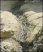 Open drain