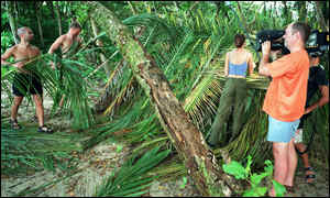 Survivor II