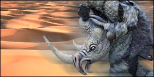 Running rhino and the Sahara