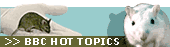 BBC Hot Topics: Animal Experiments