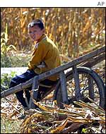 Farming boy
