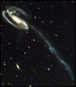 Tadpole, HST