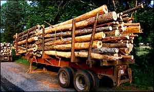 logs on trailer