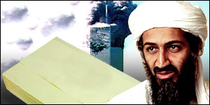 The twin towers, Osama Bin Laden and the MPs' report