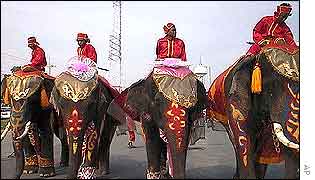 Elephants in Bangkok