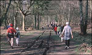 Ramblers 