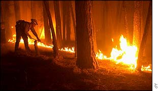 Firefighter Dan Loli tries to build a fire line