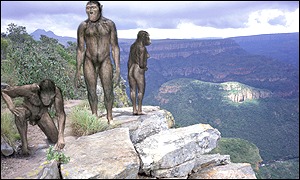 Artists' reconstruction of early humans (BBC)