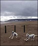 British beach
