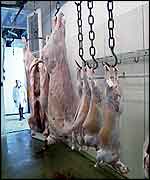 Carcasses in slaughterhouse   BBC