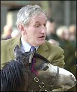 Judging a foal