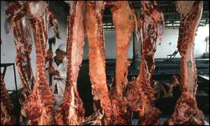 meat 
