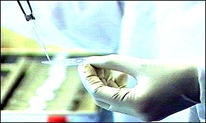 Lab