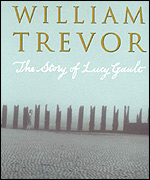 Book cover for 