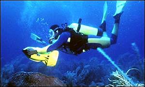 A diver