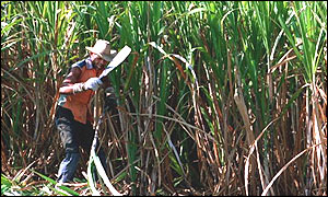 EU - harsh on poor sugar producers, says Oxfam