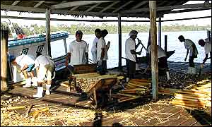 Palm factory