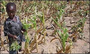 land reform 