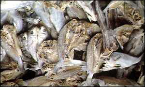 Dead fish