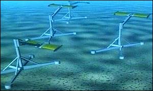 Stingray simulation