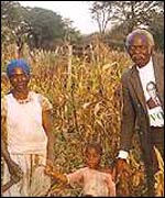 Black farmers