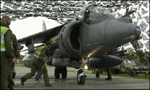 Harrier in tent