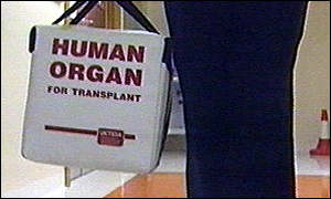 Organ box