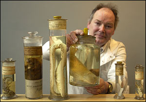 Oliver Crimmen, NHM