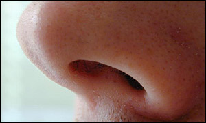 Nose