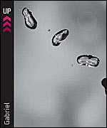 Peter Gabriel, Up