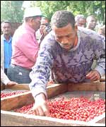 Coffee producers