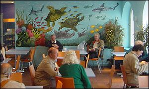Turtle Bay Cafe