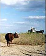Dried out sea-bed