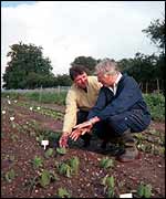 Two men in crop field   BBC