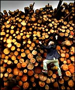 A pile of timber