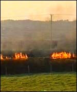 Burning carcasses