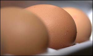 eggs