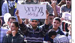 Egyptian protestors