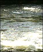 River