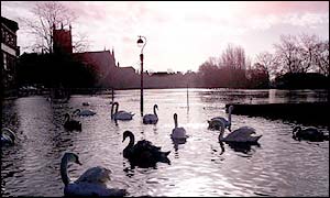 Worcester