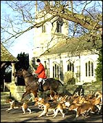 Fox hunting