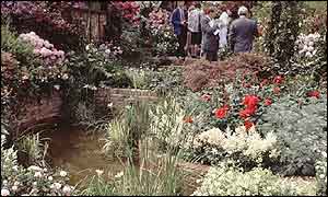 Flower garden