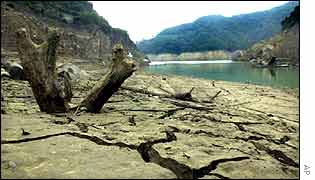 Drought