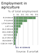 Farm employment