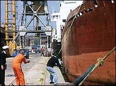 Dock workers