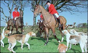 hunt